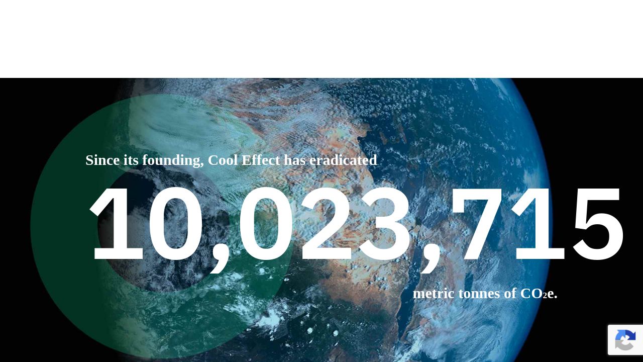 dev1-www-cooleffect.inetz.com: What fonts does Dev1-www-cooleffect use? - IBM Plex Sans, Arial, Helvetica