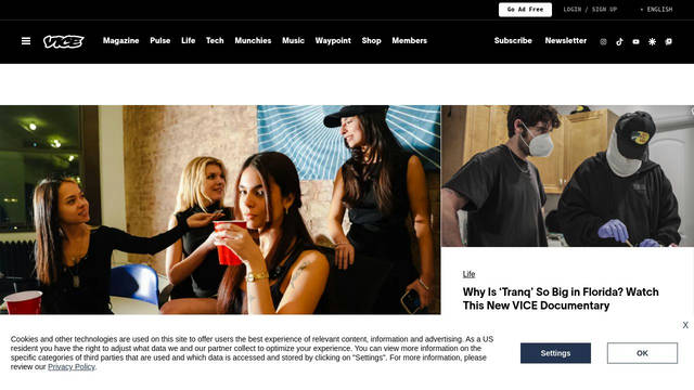 Screenshot: vice.com - uses dashicons