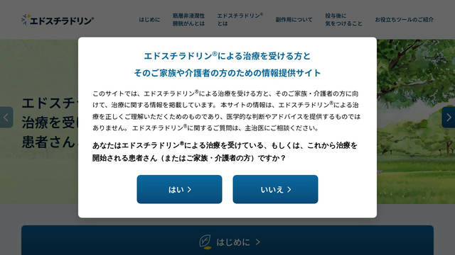 Screenshot: adstiladrin.jp - uses Noto Sans JP