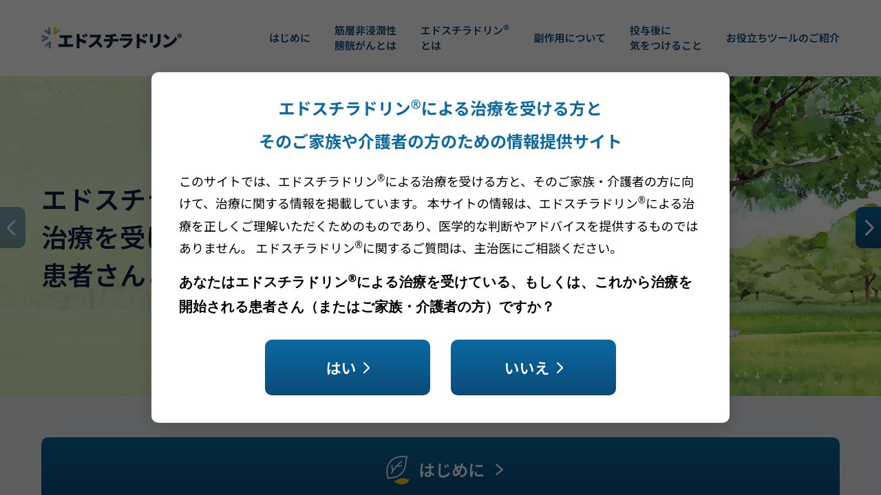 adstiladrin.jp: What fonts does Adstiladrin use? - Noto Sans JP, Noto Sans