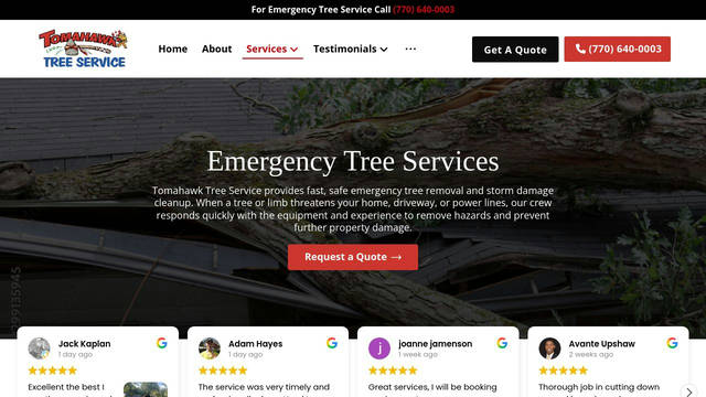 Screenshot: tomahawktreeservice.com - uses czicons