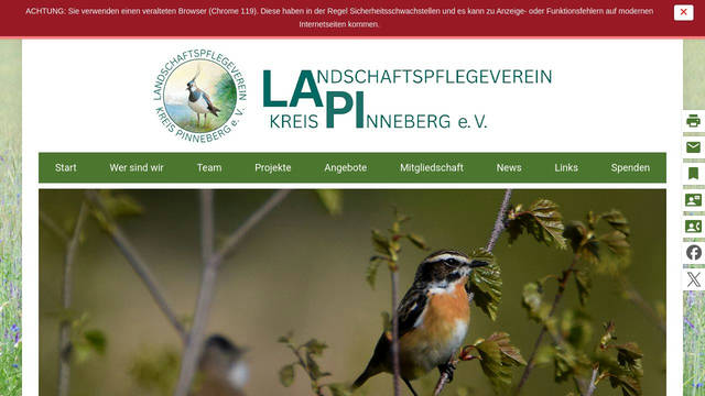 lapi.team