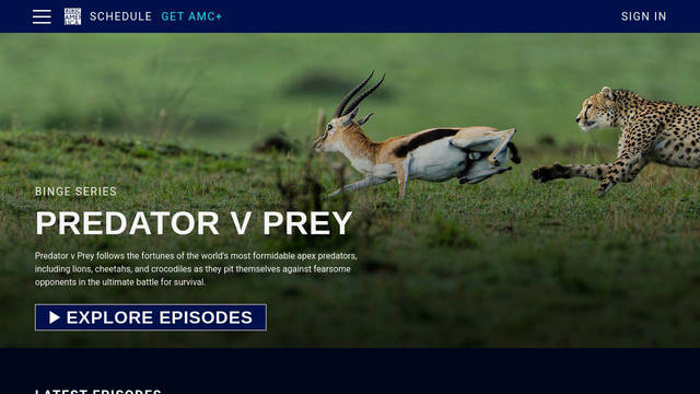 Screenshot: bbcamerica.com - uses Futura
