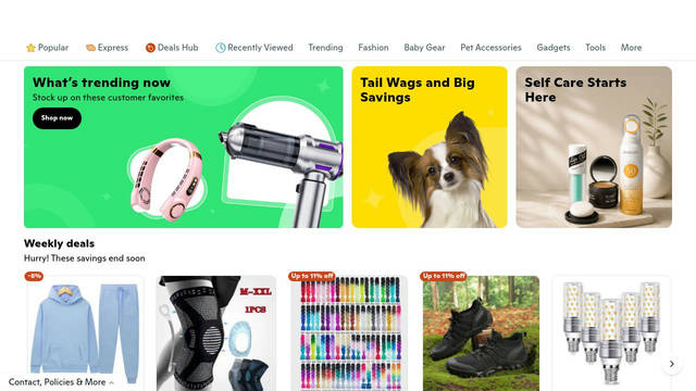 Screenshot: wish.com - uses ginto