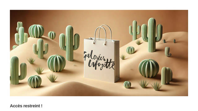 Screenshot: galerieslafayette.com - uses GL Bader Compress