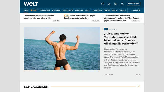 Screenshot: welt.de - uses freight